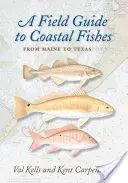Przewodnik terenowy po rybach przybrzeżnych: Od Maine do Teksasu - A Field Guide to Coastal Fishes: From Maine to Texas