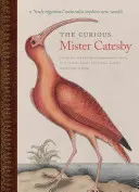 Ciekawy Pan Catesby: Prawdziwie pomysłowy przyrodnik odkrywa nowe światy” - The Curious Mister Catesby: A Truly Ingenious