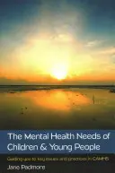 Potrzeby dzieci i młodzieży w zakresie zdrowia psychicznego: Przewodnik po kluczowych zagadnieniach i praktykach w Camhs - The Mental Health Needs of Children & Young People: Guiding You to Key Issues and Practices in Camhs