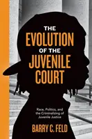 Ewolucja sądów dla nieletnich: Rasa, polityka i kryminalizacja wymiaru sprawiedliwości dla nieletnich - The Evolution of the Juvenile Court: Race, Politics, and the Criminalizing of Juvenile Justice
