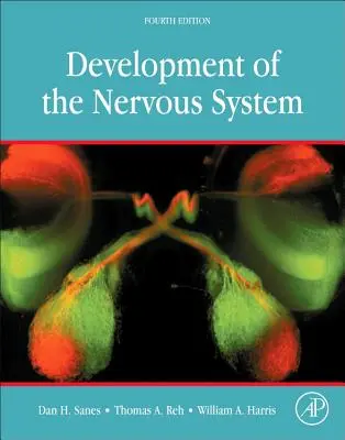 Rozwój układu nerwowego - Development of the Nervous System