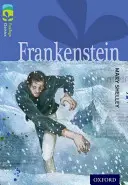 Oxford Reading TreeTops Classics: Poziom 17: Frankenstein - Oxford Reading Tree TreeTops Classics: Level 17: Frankenstein