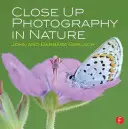 Fotografia przyrodnicza z bliska - Close Up Photography in Nature