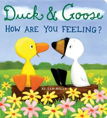 Kaczka i Gąska, Jak się czujesz? - Duck & Goose, How Are You Feeling?