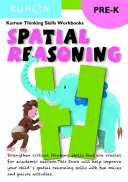 Rozumowanie przestrzenne - Spatial Reasoning