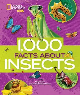 1000 faktów o owadach - 1,000 Facts about Insects