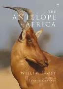 Antylopa z Afryki - The Antelope of Africa