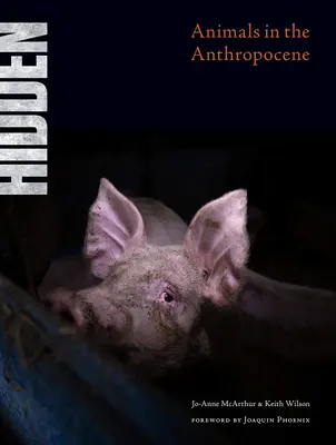 Ukryte: Zwierzęta w antropocenie - Hidden: Animals in the Anthropocene