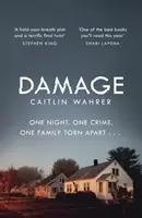 Damage - nie do odrzucenia i emocjonalnie trzymający w napięciu debiut z niespodzianką, której się nie spodziewasz - Damage - An unputdownable and emotionally gripping debut with a twist you won't see coming