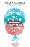 Burza w szklance wody - fizyka życia codziennego - Storm in a Teacup - The Physics of Everyday Life