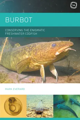 Miętus: Ochrona tajemniczego dorsza słodkowodnego - Burbot: Conserving the Enigmatic Freshwater Codfish