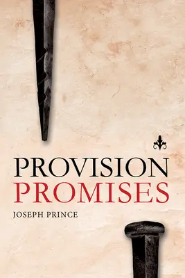 Obietnice Przepisów - Provision Promises