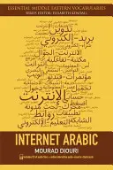 Internetowy arabski [z płytą CD (audio)] - Internet Arabic [With CD (Audio)]