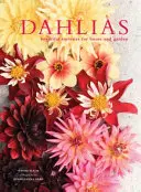 Dalie - piękne odmiany do domu i ogrodu - Dahlias - Beautiful varieties for home and garden