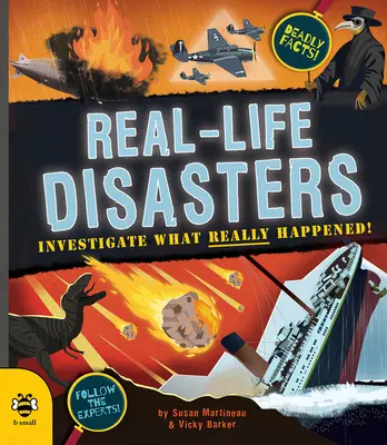 Prawdziwe katastrofy - sprawdź, co się naprawdę stało! - Real-life Disasters - Investigate What Really Happened!