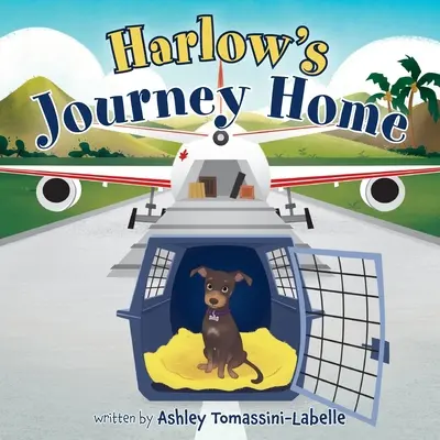 Podróż Harlow do domu - Harlow's Journey Home