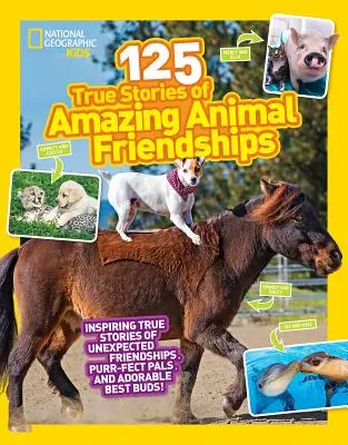 125 prawdziwych historii o niesamowitych przyjaźniach zwierząt - 125 True Stories of Amazing Animal Friendships