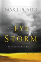 W oku burzy: Jezus wie, co czujesz - In the Eye of the Storm: Jesus Knows How You Feel