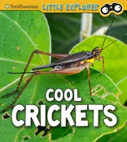 Fajne świerszcze - Cool Crickets