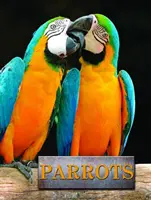 Papugi - Parrots