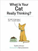 Co naprawdę myśli twój kot? - What Is Your Cat Really Thinking?