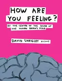 Jak się czujesz? - W centrum wnętrza ludzkiego umysłu - How Are You Feeling? - At the Centre of the Inside of The Human Brain's Mind