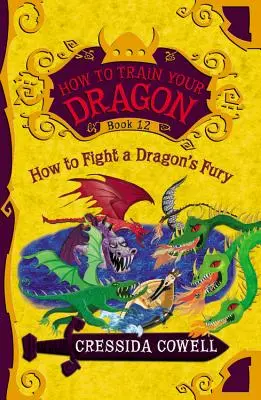 Jak wytresować smoka: Jak walczyć z furią smoka - How to Train Your Dragon: How to Fight a Dragon's Fury