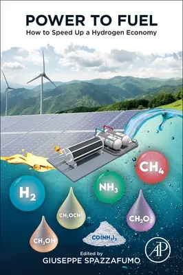 Power to Fuel: Jak przyspieszyć gospodarkę wodorową - Power to Fuel: How to Speed Up a Hydrogen Economy