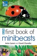 Pierwsza księga minibeastów RSPB - RSPB First Book Of Minibeasts