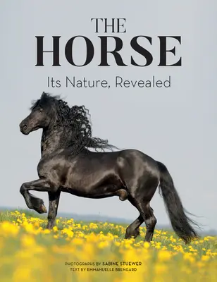 Koń: jego natura, ujawniona - The Horse: Its Nature, Revealed