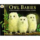 Owl Babies