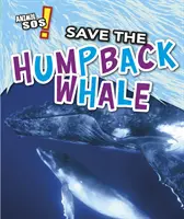 Uratuj humbaka - Save the Humpback Whale