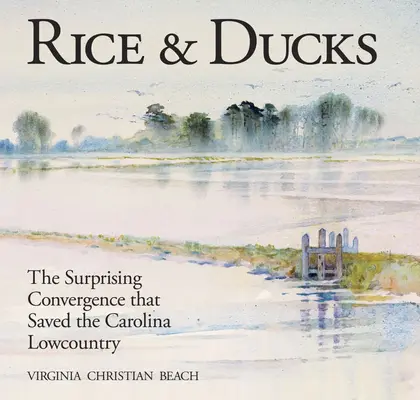 Ryż i kaczki: Zaskakująca zbieżność, która uratowała Carolina Lowcountry - Rice & Ducks: The Surprising Convergence That Saved the Carolina Lowcountry