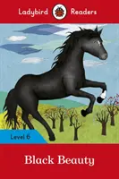 Black Beauty: Poziom 6 - Black Beauty: Level 6