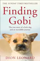 Finding Gobi (wydanie główne) - Prawdziwa historia małego psa i niesamowitej podróży - Finding Gobi (Main edition) - The True Story of a Little Dog and an Incredible Journey