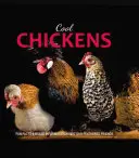 Fajne kurczaki - Cool Chickens