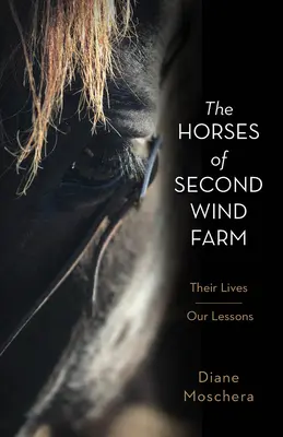 Konie z farmy Second Wind Farm: Ich życie - nasze lekcje - The Horses of Second Wind Farm: Their Lives - Our Lessons