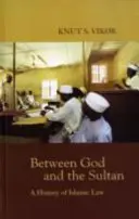 Między Bogiem a sułtanem - historia prawa islamskiego - Between God and the Sultan - A History of Islamic Law