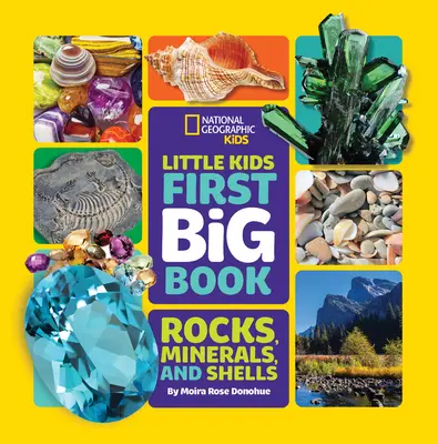 Pierwsza wielka księga skał, minerałów i muszli dla małych dzieci - Little Kids First Big Book of Rocks, Minerals & Shells