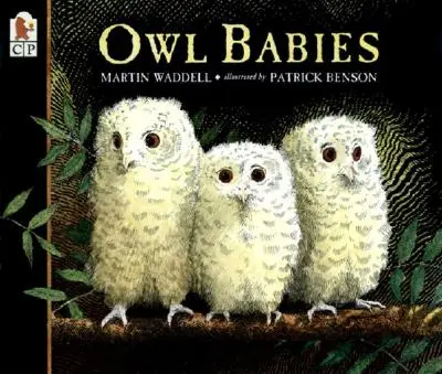 Dzieci sowy - Owl Babies