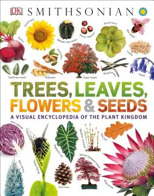Drzewa, liście, kwiaty i nasiona: Wizualna encyklopedia królestwa roślin - Trees, Leaves, Flowers and Seeds: A Visual Encyclopedia of the Plant Kingdom