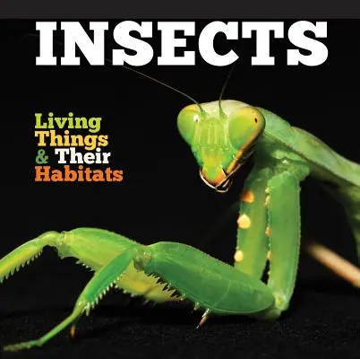 Owady - Insects