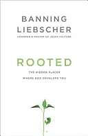 Zakorzenienie: Ukryte miejsca, w których Bóg cię rozwija - Rooted: The Hidden Places Where God Develops You