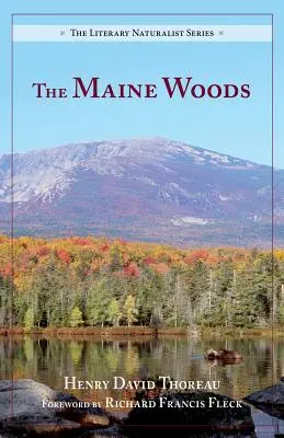 Lasy Maine - The Maine Woods