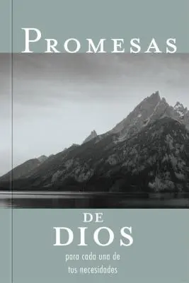 Promesas de Dios Para Cada Una de Tus Necesidades = Boże obietnice dla każdej twojej potrzeby - Promesas de Dios Para Cada Una de Tus Necesidades = God's Promises for Your Every Need