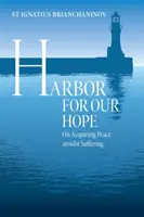 Przystań dla naszej nadziei: o zdobywaniu pokoju pośród cierpienia - Harbor for Our Hope: On Acquiring Peace Amidst Suffering