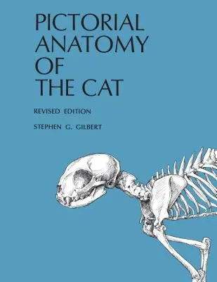 Obrazkowa anatomia kota - Pictorial Anatomy of the Cat