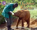 Ratowanie słoni - Elephant Rescue