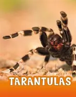 Tarantule - Tarantulas