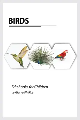 Ptaki: Książka Montessori o prawdziwych ptakach, kawałki inteligencji dla niemowląt i małych dzieci, książka dla dzieci, materiały do nauki. - Birds: Montessori real birds book, bits of intelligence for baby and toddler, children's book, learning resources.